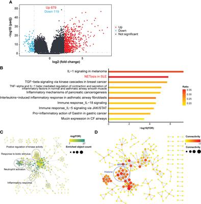 NETosis is critical in patients with severe community-acquired pneumonia